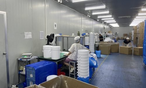 plastic bucket production